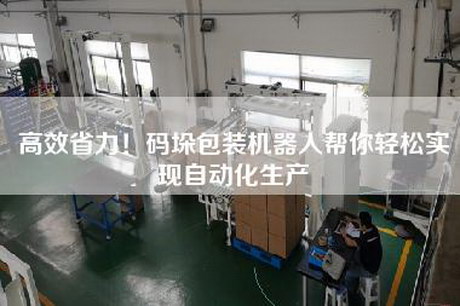 高效省力！码垛包装机器人帮你轻松实现自动化生产