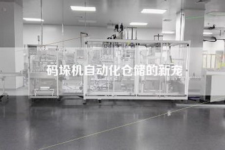 码垛机自动化仓储的新宠