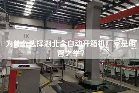 为什么选择湖北全自动开箱机厂家是明智之举？
