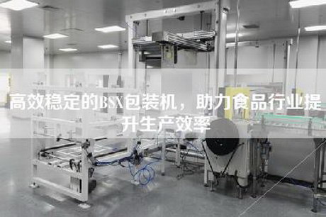 高效稳定的BSX包装机，助力食品行业提升生产效率