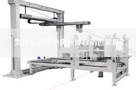 为什么选择小袋液体自动包装机？