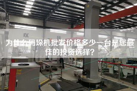 为什么码垛机批发价格多少一台是您最佳的投资选择？