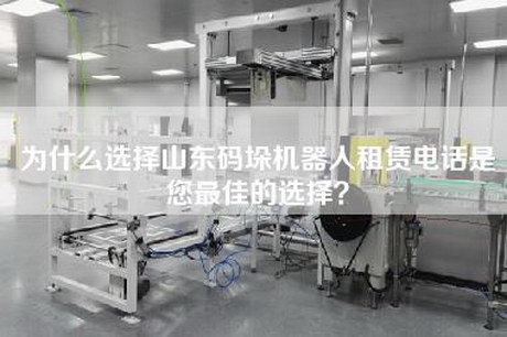 为什么选择山东码垛机器人租赁电话是您最佳的选择？