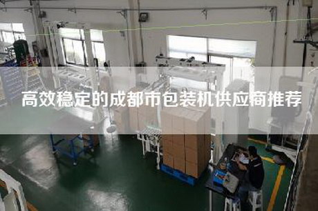 高效稳定的成都市包装机供应商推荐