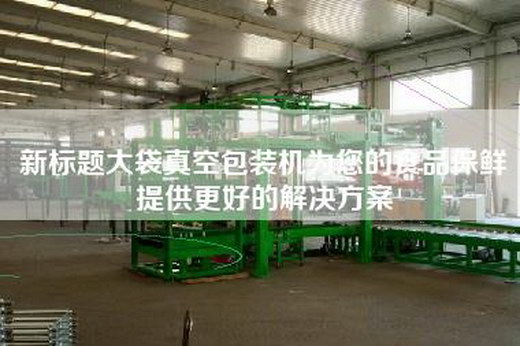 新标题大袋真空包装机为您的食品保鲜提供更好的解决方案