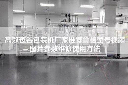 高效苞谷包装机厂家推荐价格型号视频图片参数维修使用方法