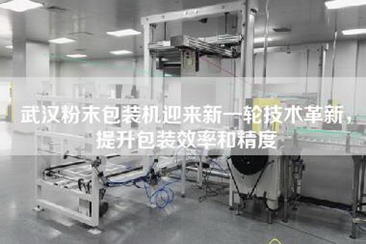 武汉粉末包装机迎来新一轮技术革新，提升包装效率和精度