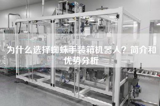 为什么选择蜘蛛手装箱机器人？简介和优势分析
