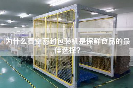 为什么真空密封包装机是保鲜食品的最佳选择？