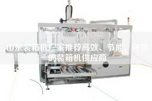 山东装箱机厂家推荐高效、节能、环保的装箱机供应商