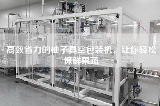 高效省力的柚子真空包装机，让你轻松保鲜果蔬