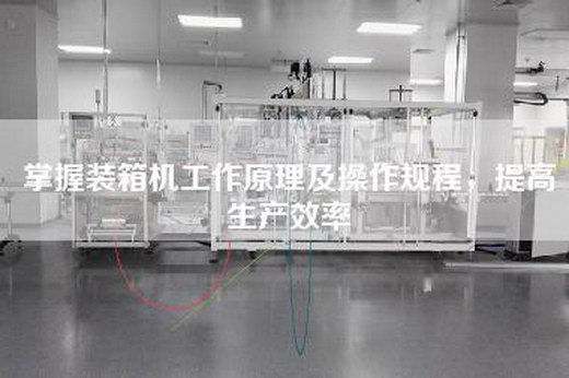 掌握装箱机工作原理及操作规程，提高生产效率