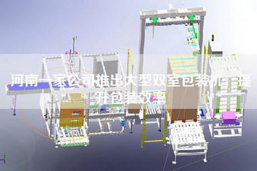 河南一家公司推出大型双室包装机，提升包装效率