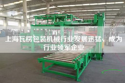 上海瓦楞包装机械行业发展迅猛，成为行业领军企业