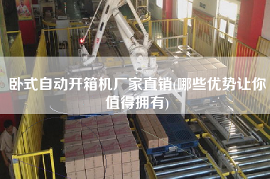 卧式自动开箱机厂家直销(哪些优势让你值得拥有)
