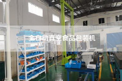全自动真空食品包装机