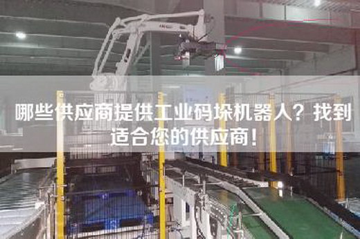 哪些供应商提供工业码垛机器人？找到适合您的供应商！
