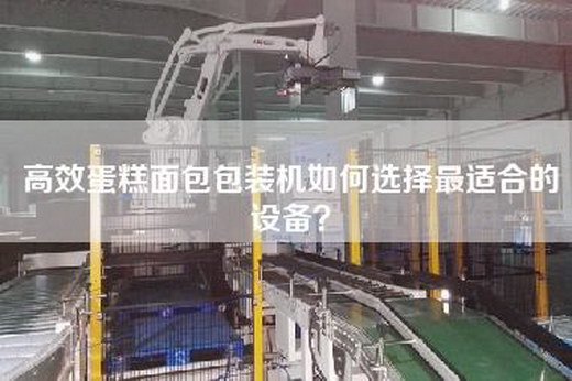 高效蛋糕面包包装机如何选择最适合的设备？