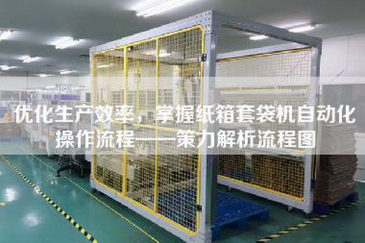 优化生产效率，掌握纸箱套袋机自动化操作流程——策力解析流程图
