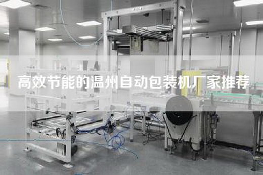 高效节能的温州自动包装机厂家推荐