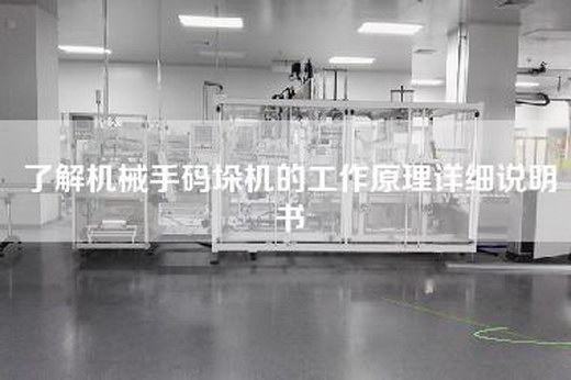 了解机械手码垛机的工作原理详细说明书
