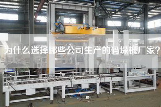 为什么选择哪些公司生产的码垛机厂家？