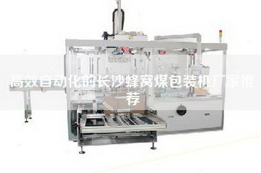 高效自动化的长沙蜂窝煤包装机厂家推荐 高效自动化的长沙蜂窝煤包装机厂家推荐