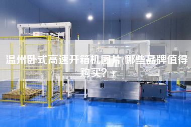 温州卧式高速开箱机图片(哪些品牌值得购买) 温州卧式高速开箱机图片(哪些品牌值得购买)
