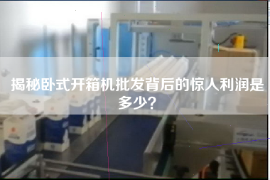 揭秘卧式开箱机批发背后的惊人利润是多少？