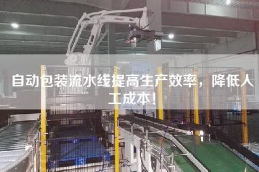 自动包装流水线提高生产效率，降低人工成本！