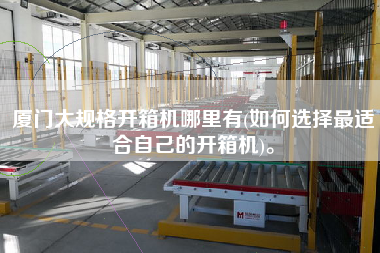厦门大规格开箱机哪里有(如何选择更适合自己的开箱机)。